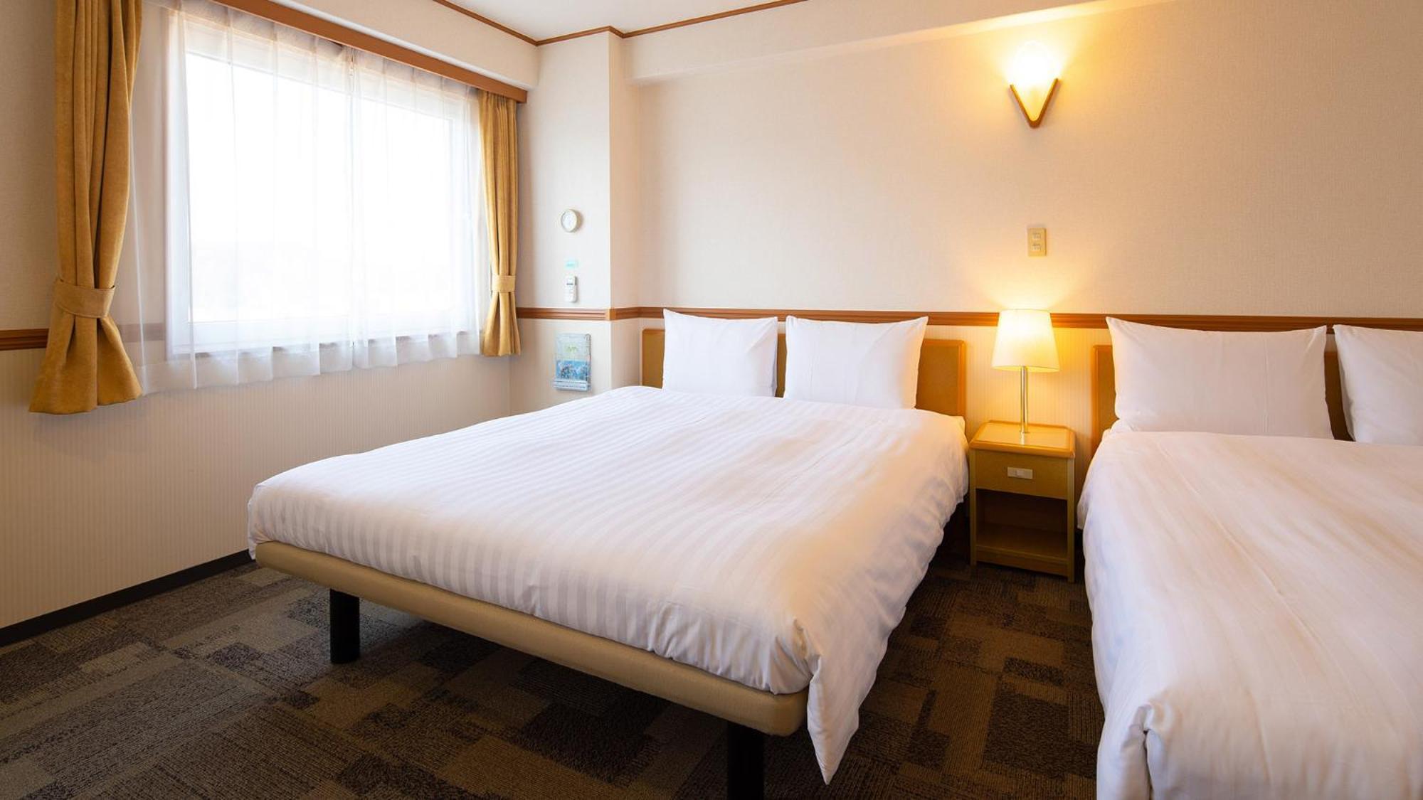 Toyoko Inn Kagoshima Chuo Eki Nishi Guchi Phòng bức ảnh